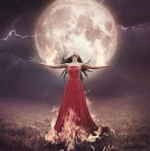 Meet your Posher, Nelly